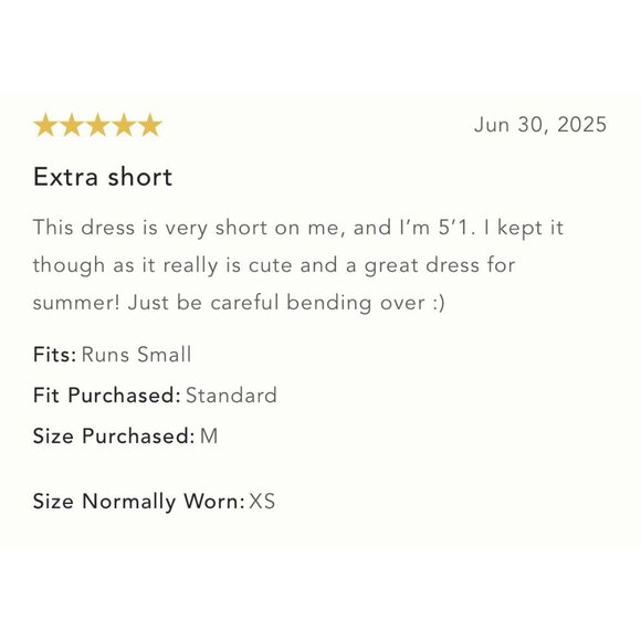 NWT Size XL -Anthropologie Celandine 100% Cotton Tiered Mini Dress (NWT US$ 98) - Picture 8 of 16